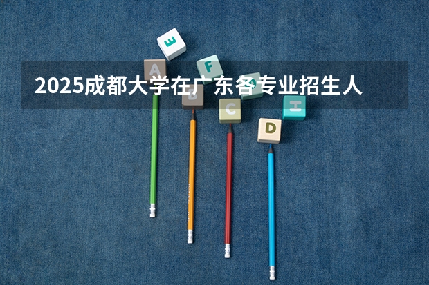 2025成都大学在广东各专业招生人数介绍（2026参考）