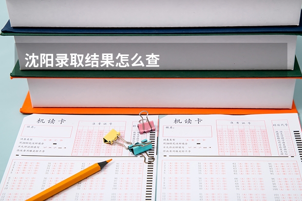 沈阳录取结果怎么查
