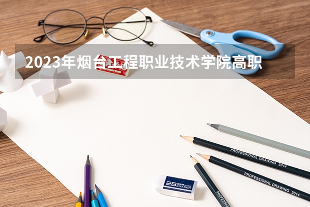 2023年烟台工程职业技术学院高职单独招生和综合评价招生专业有哪些？