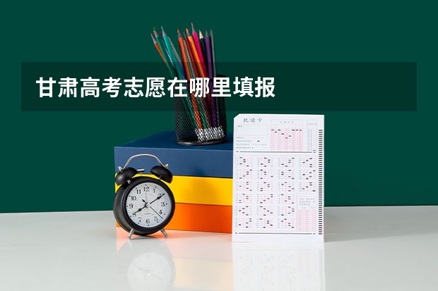 甘肃高考志愿在哪里填报