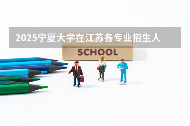 2025宁夏大学在江苏各专业招生人数汇总（2026参考）