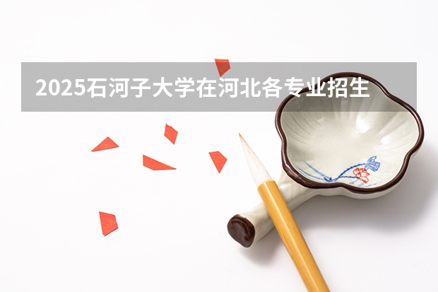 2025石河子大学在河北各专业招生人数汇总（2026参考）