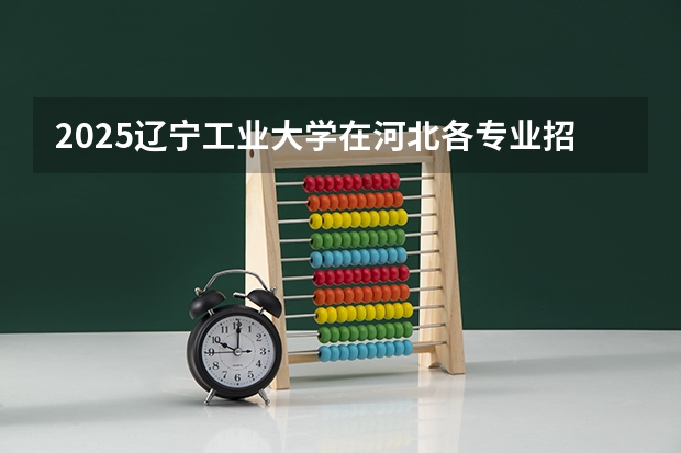 2025辽宁工业大学在河北各专业招生人数汇总（2026参考）
