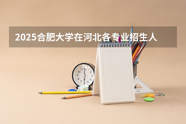 2025合肥大学在河北各专业招生人数汇总（2026参考）
