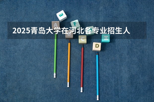 2025青岛大学在河北各专业招生人数汇总（2026参考）