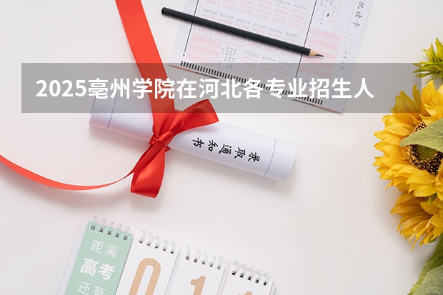 2025亳州学院在河北各专业招生人数汇总（2026参考）