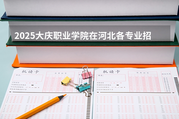 2025大庆职业学院在河北各专业招生人数汇总（2026参考）