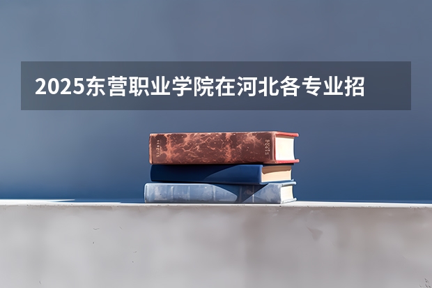 2025东营职业学院在河北各专业招生人数汇总（2026参考）