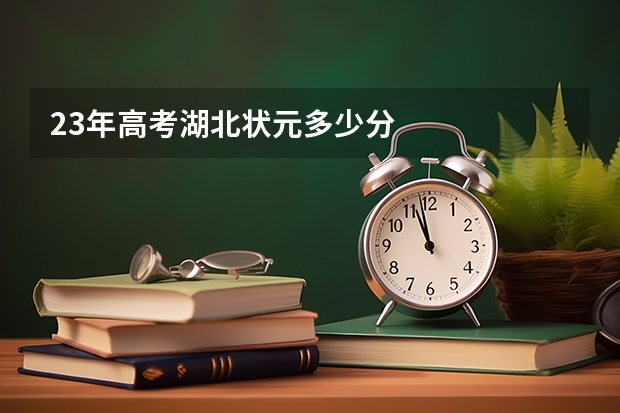 23年高考湖北状元多少分