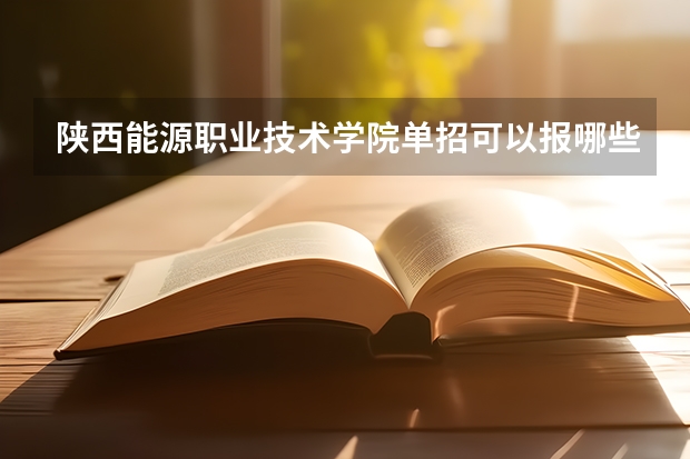 陕西能源职业技术学院单招可以报哪些专业？