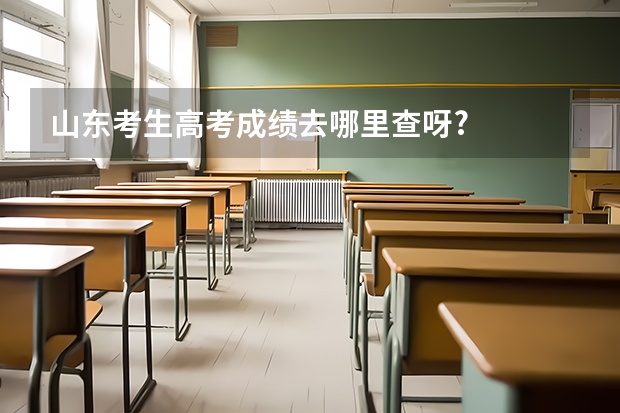 山东考生高考成绩去哪里查呀?