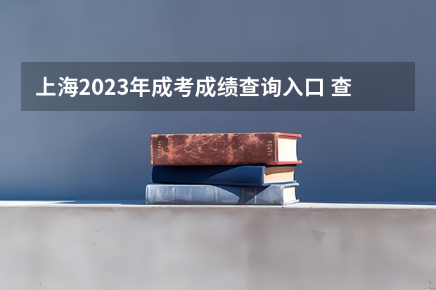 上海2023年成考成绩查询入口 查分平台在哪里？