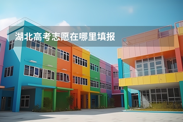 湖北高考志愿在哪里填报
