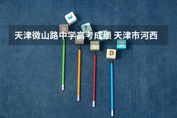 天津微山路中学高考成绩 天津市河西区高考考点