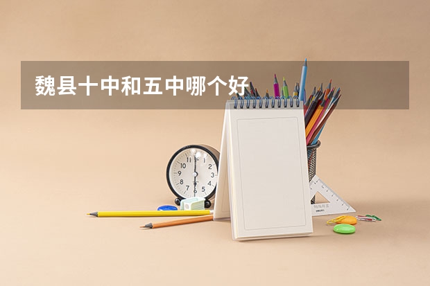 魏县十中和五中哪个好
