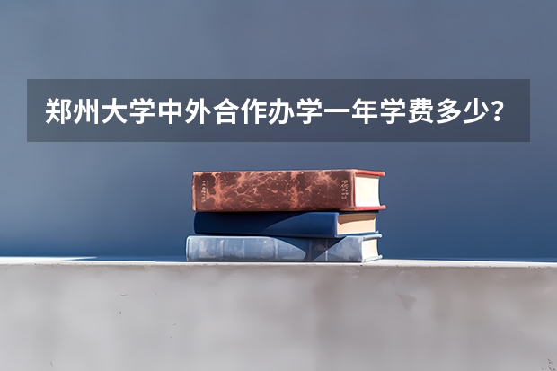 郑州大学中外合作办学一年学费多少？