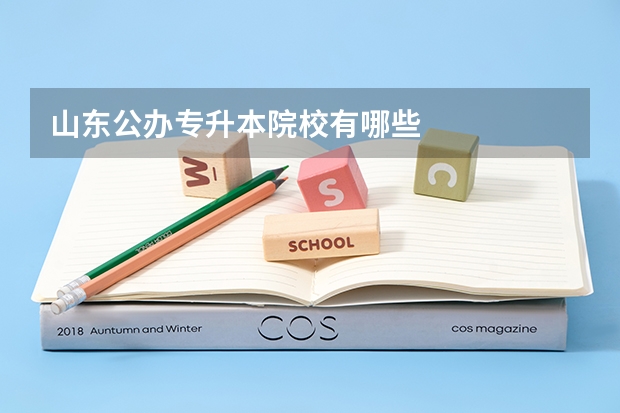 山东公办专升本院校有哪些
