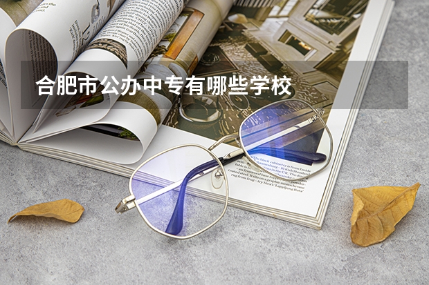 合肥市公办中专有哪些学校