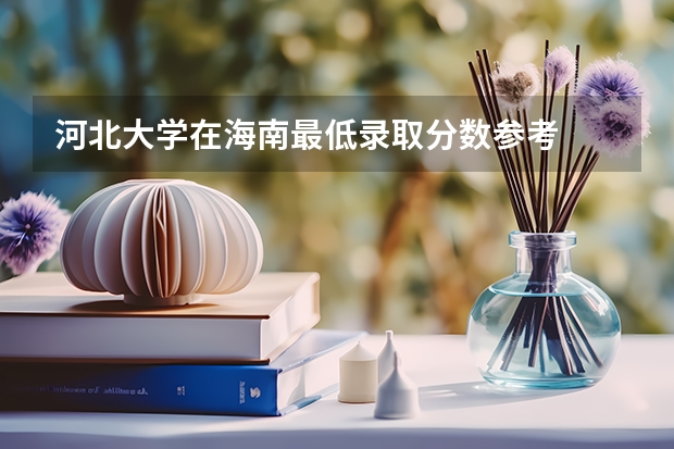 河北大学在海南最低录取分数参考
