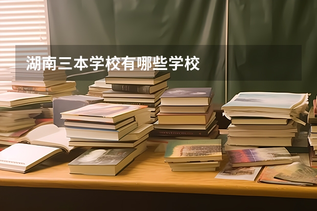 湖南三本学校有哪些学校