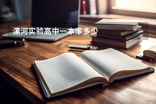漯河实验高中一本率多少