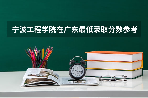 宁波工程学院在广东最低录取分数参考