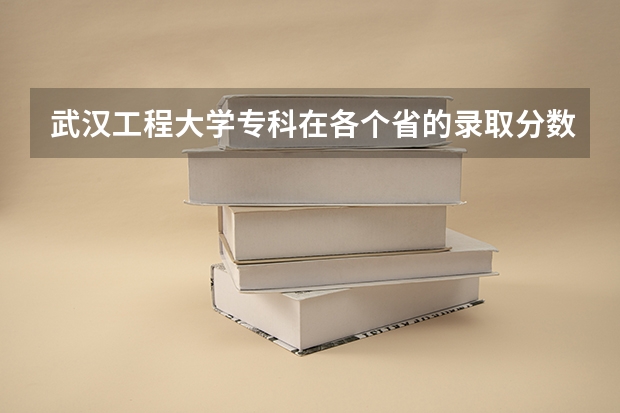 武汉工程大学专科在各个省的录取分数线是多少啊？