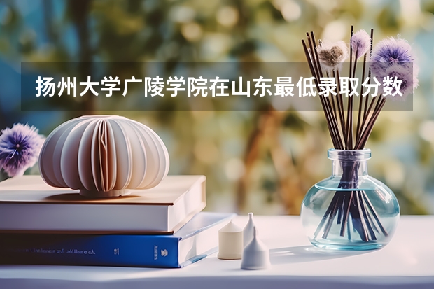 扬州大学广陵学院在山东最低录取分数参考