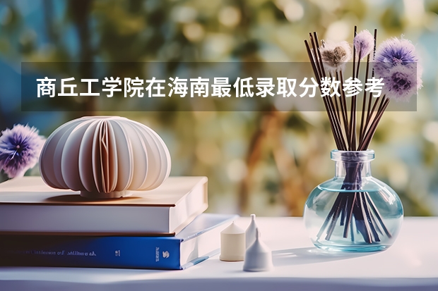 商丘工学院在海南最低录取分数参考