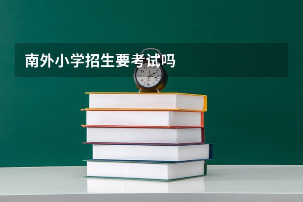 南外小学招生要考试吗