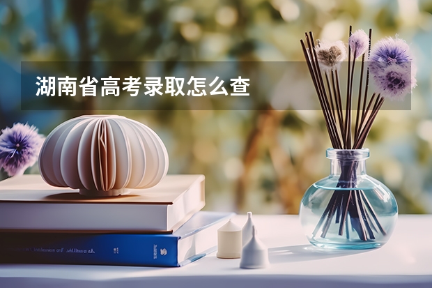 湖南省高考录取怎么查