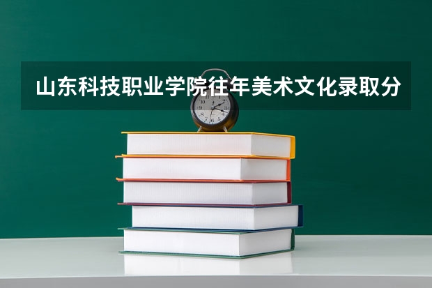 山东科技职业学院往年美术文化录取分数线（山东美术学院录取分数线）