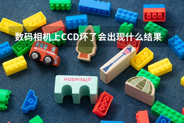 数码相机上CCD坏了会出现什么结果
