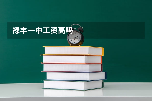 禄丰一中工资高吗