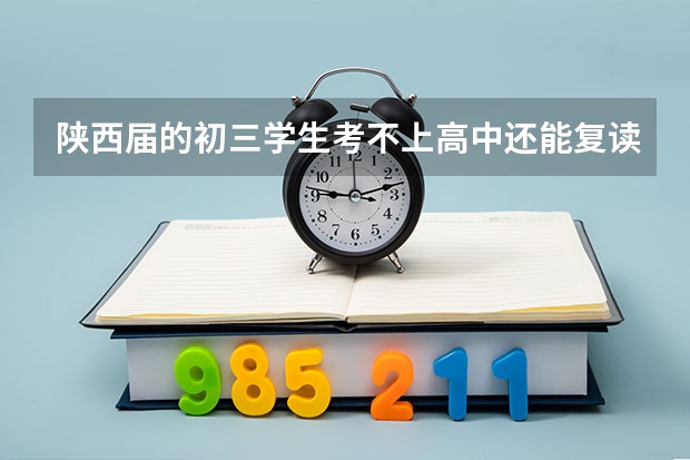 陕西届的初三学生考不上高中还能复读吗?