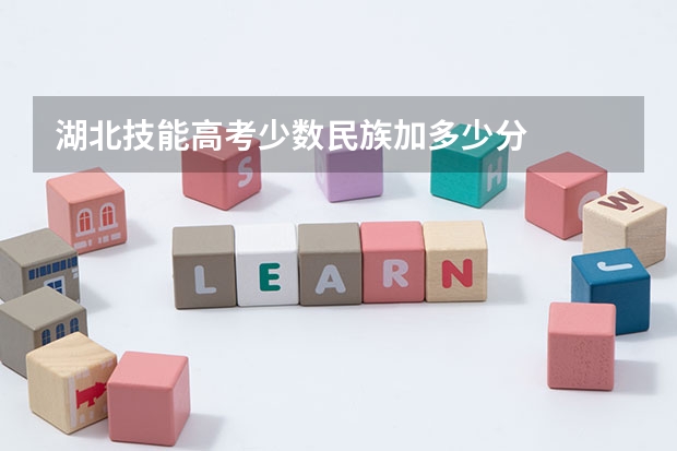 湖北技能高考少数民族加多少分