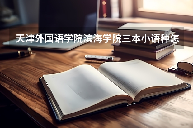 天津外国语学院滨海学院三本小语种怎么样？