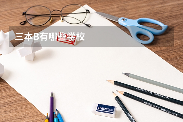 三本B有哪些学校