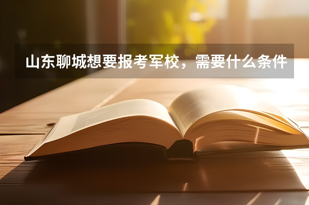 山东聊城想要报考军校，需要什么条件？