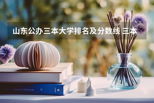 山东公办三本大学排名及分数线 三本大学排名榜 全国最好的三本学校