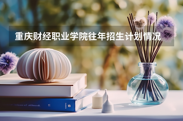重庆财经职业学院往年招生计划情况