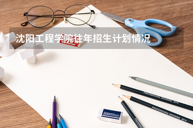 沈阳工程学院往年招生计划情况