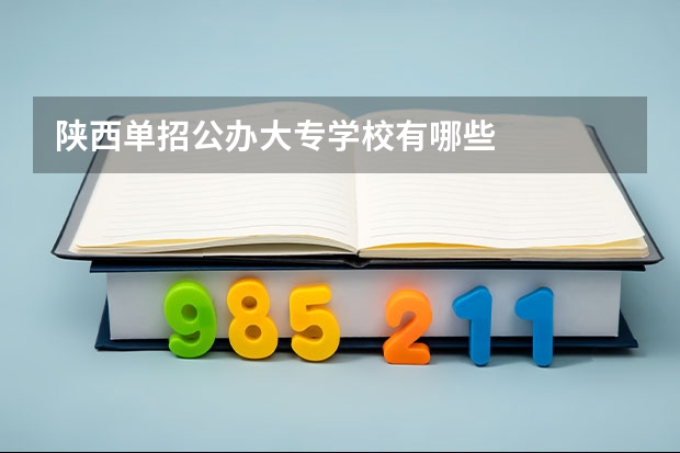 陕西单招公办大专学校有哪些