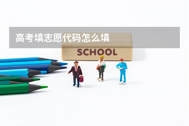 高考填志愿代码怎么填