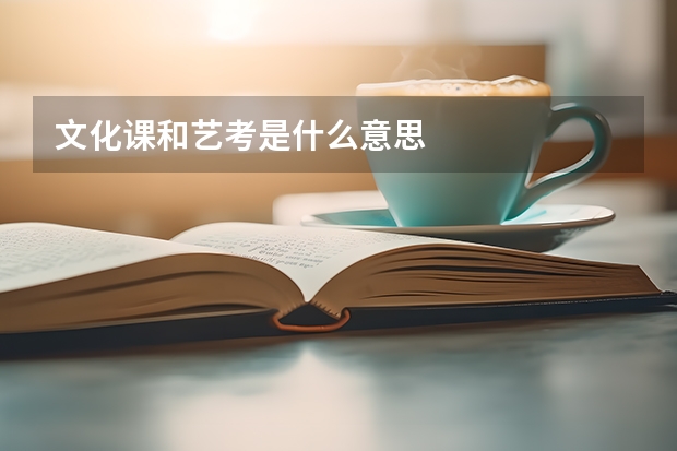 文化课和艺考是什么意思