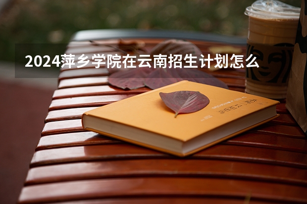 2024萍乡学院在云南招生计划怎么样