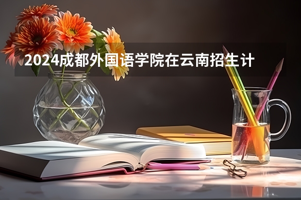 2024成都外国语学院在云南招生计划怎么样