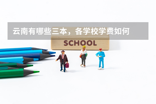 云南有哪些三本,各学校学费如何