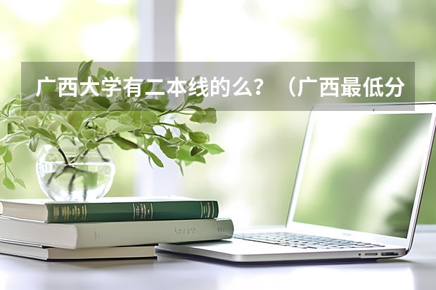 广西大学有二本线的么？（广西最低分的二本大学文科）