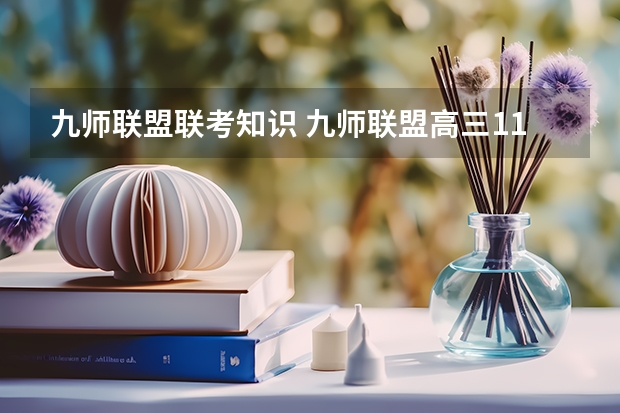 九师联盟联考知识 九师联盟高三11月联考